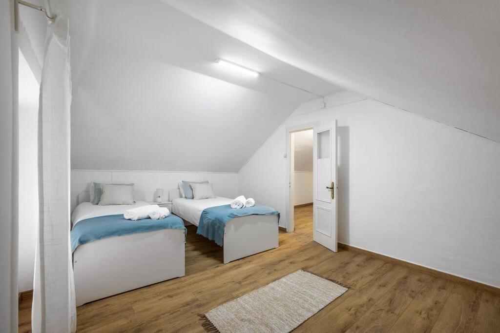 Apartamento Tipico - Vila Mafra نازاريه المظهر الخارجي الصورة